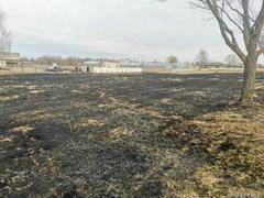 МЧС информирует о первых случаях загорания сухой растительности в городе Жодино