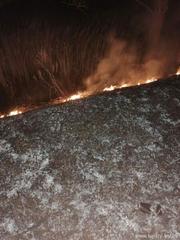 МЧС информирует о загорании сухой растительности в городе Жодино