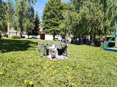 «Зарничка» для самых маленьких 