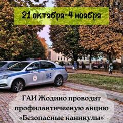 Профилактическая акция «Безопасные каникулы»