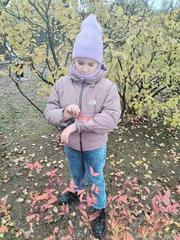 Осеннему марафону 