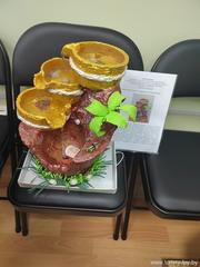 Смотр инновационного и технического творчества