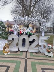 Областная новогодняя елка