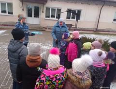 Изучаем правила зимней подкормки птиц