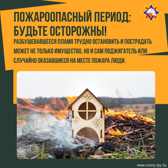 Защитим природу: почему сжигание сухой растительности — это не решение!