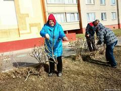Субботник