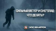 Сильный ветер и снегопад: что делать?