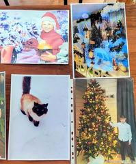 Информация по итогам проведения городского фотоконкурса «Мгновения» Информация по итогам проведения городского фотоконкурса «Мгновения»