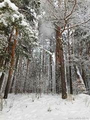 Информация по итогам проведения городского фотоконкурса «Мгновения»