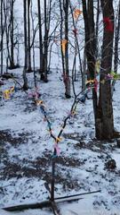 Информация по итогам проведения городского фотоконкурса «Мгновения» Информация по итогам проведения городского фотоконкурса «Мгновения»