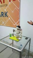 Информация по итогам проведения городского фотоконкурса «Мгновения» Информация по итогам проведения городского фотоконкурса «Мгновения»