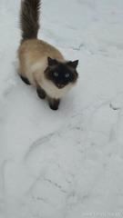 Информация по итогам проведения городского фотоконкурса «Мгновения» Информация по итогам проведения городского фотоконкурса «Мгновения»