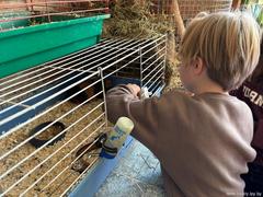 Весенние каникулы — это не только отдых, но и новые открытия!