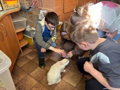 Весенние каникулы — это не только отдых, но и новые открытия!