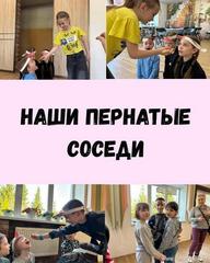 Весенняя встреча с пернатыми! 