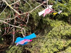 Весенняя встреча с пернатыми! 