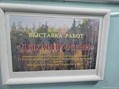 Краски золотой поры: в книжном магазине открылась выставка детских рисунков «Дыхание осени»
